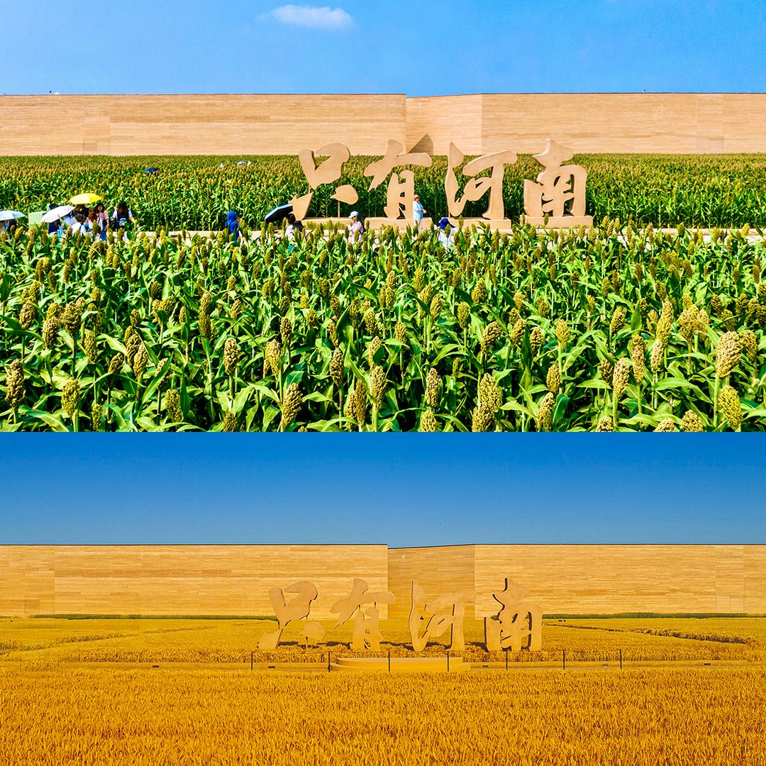 Zhengzhou_Highlight_5.jpg